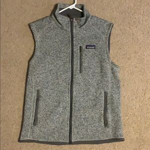 Ash Patagonia Vest